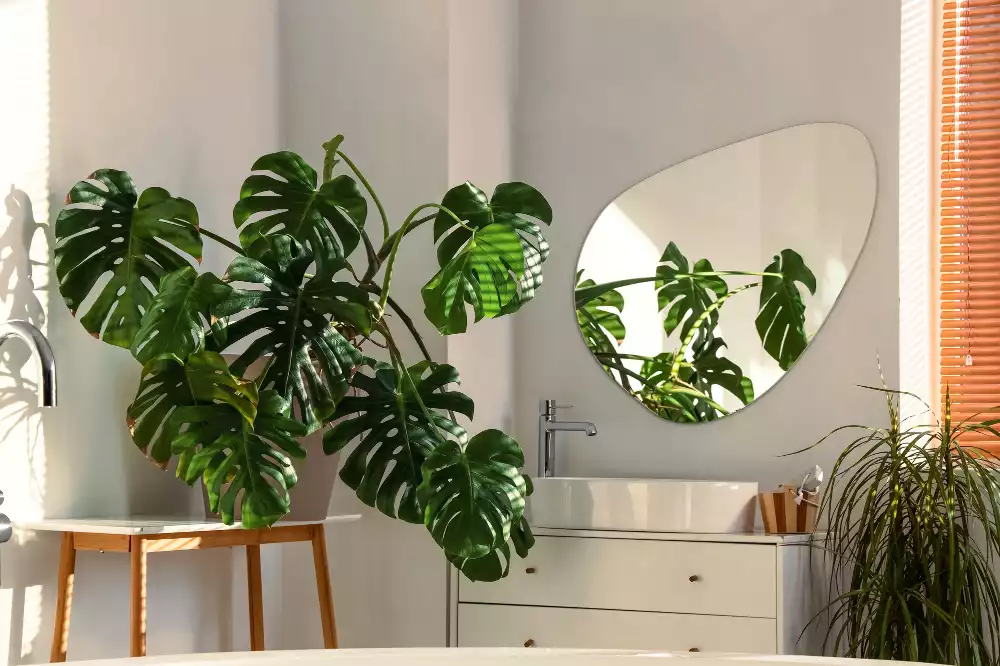 Specchio organico decorativo da parete