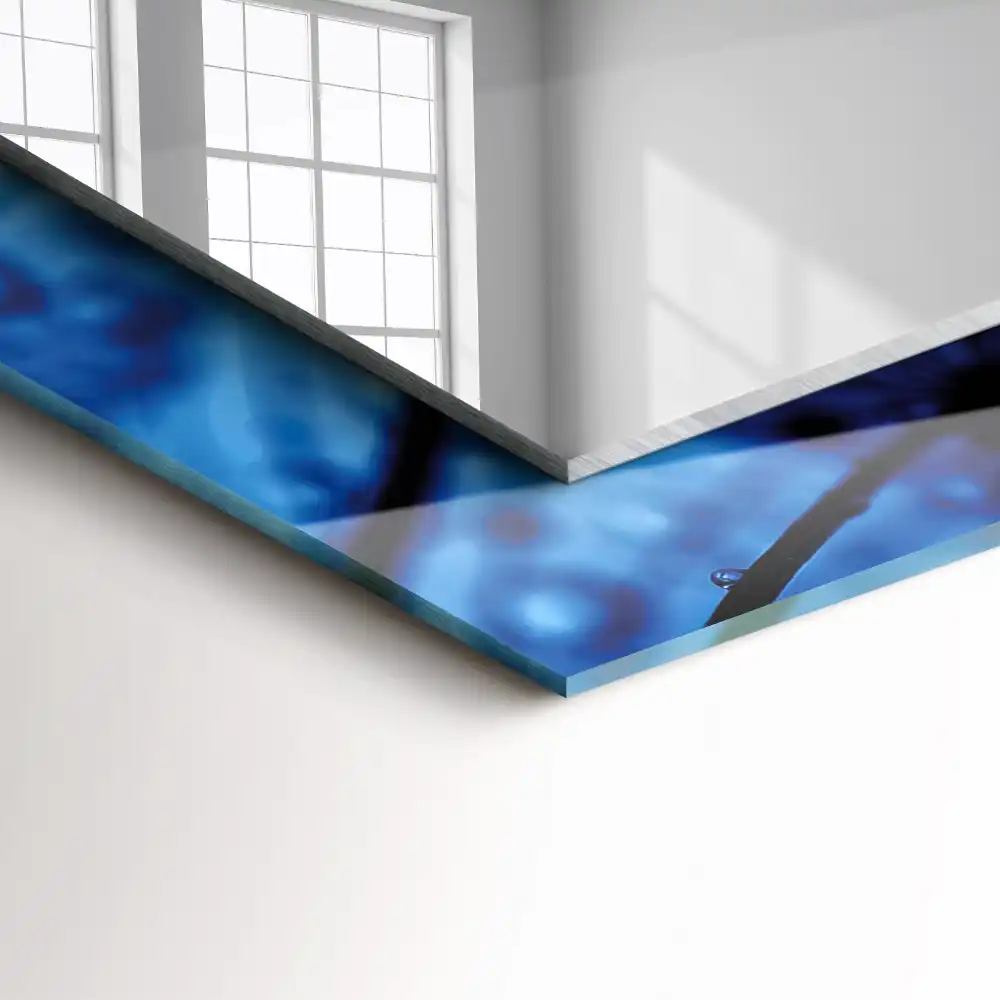 Specchio rettangolare stampato Gocce sui denti di leone